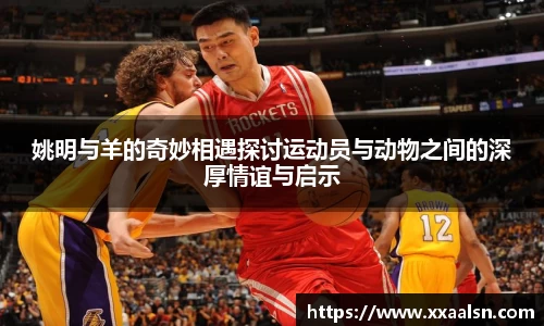 姚明与羊的奇妙相遇探讨运动员与动物之间的深厚情谊与启示